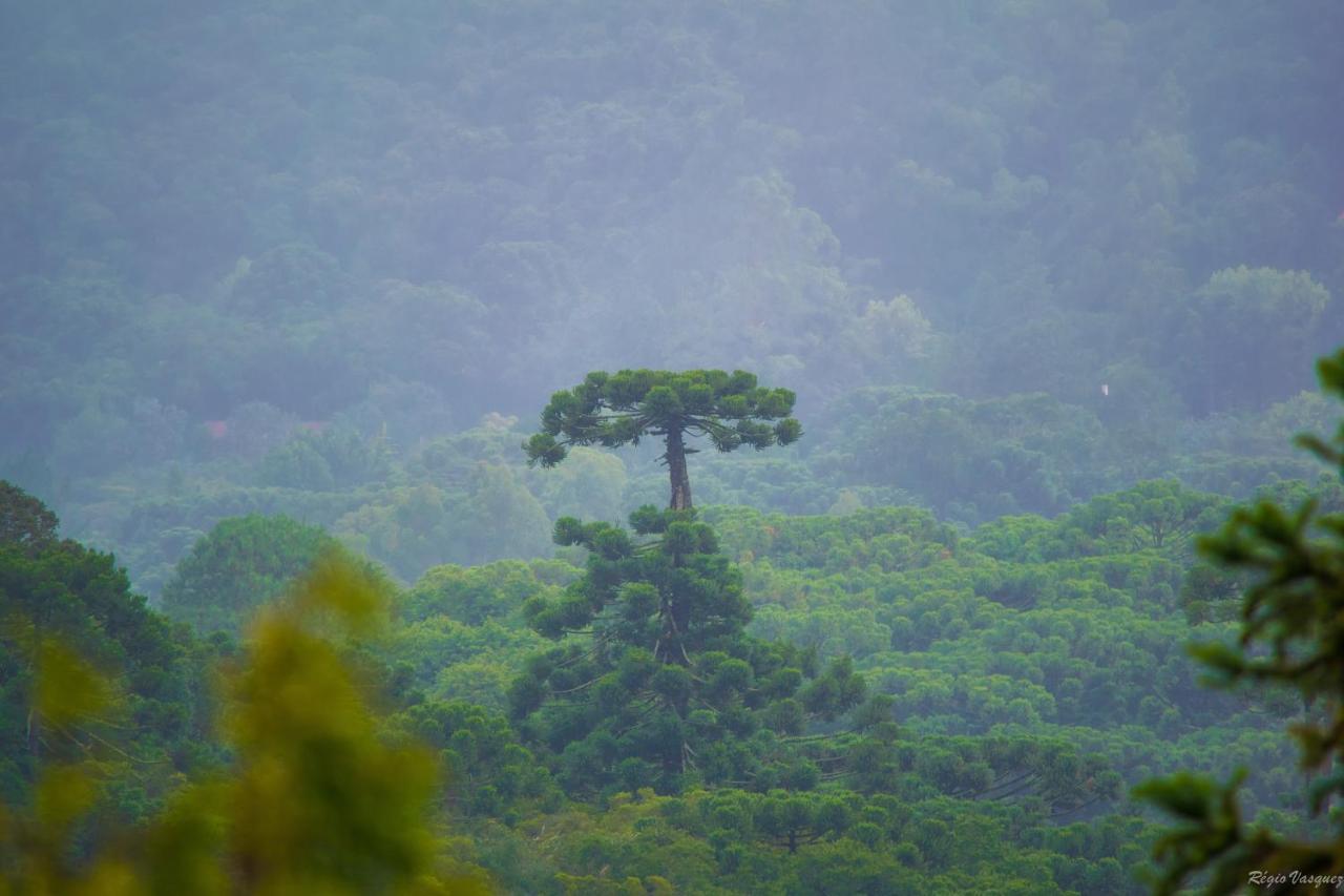 Pousada Ricanto Amore Mio Monte Verde  Esterno foto