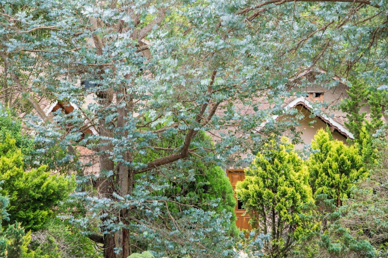Pousada Ricanto Amore Mio Monte Verde  Esterno foto