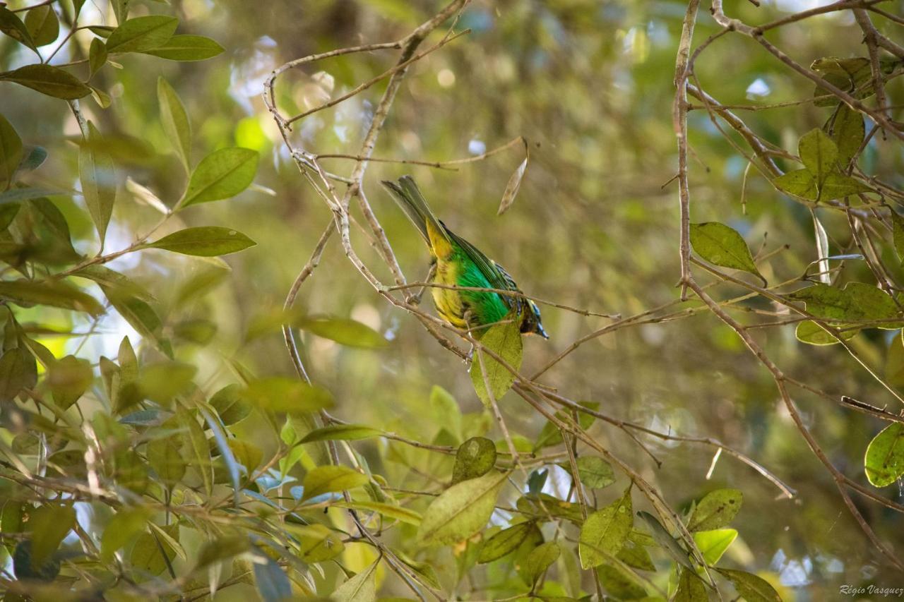 Pousada Ricanto Amore Mio Monte Verde  Esterno foto